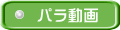 パラ動画